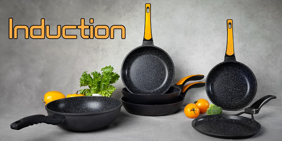 Novelties from BIOL - the Induction line Novelties from BIOL - the Induction line